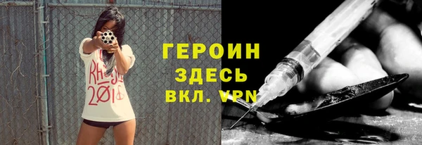 сатива Ельня