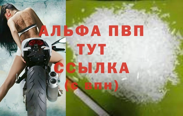 сатива Ельня