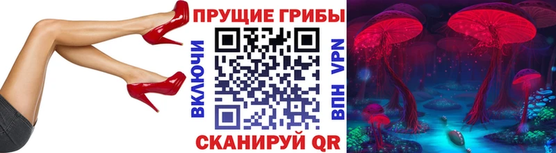 дарнет шоп  Шилка  Галлюциногенные грибы мицелий 